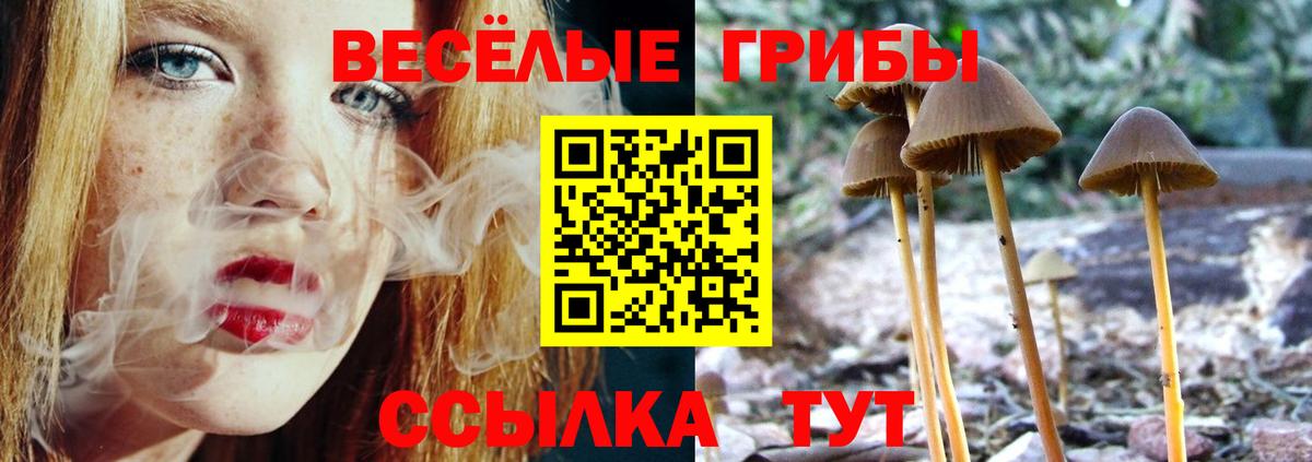 Галлюциногенные грибы Psilocybine cubensis Партизанск