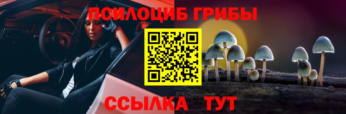 Галлюциногенные грибы MAGIC MUSHROOMS  Вход с VPN  Партизанск  Галлюциногенные грибы Psilocybine cubensis 