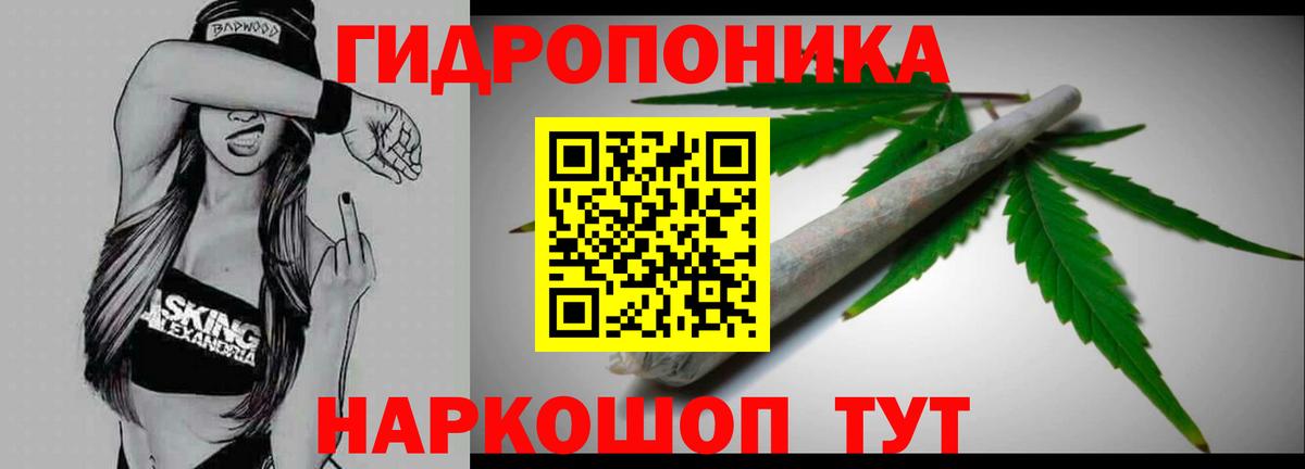 Бошки Шишки MAZAR Партизанск